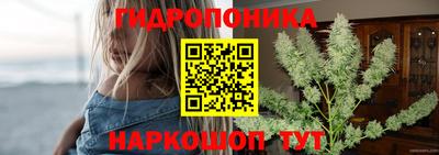 мяу мяу мука Кунгур