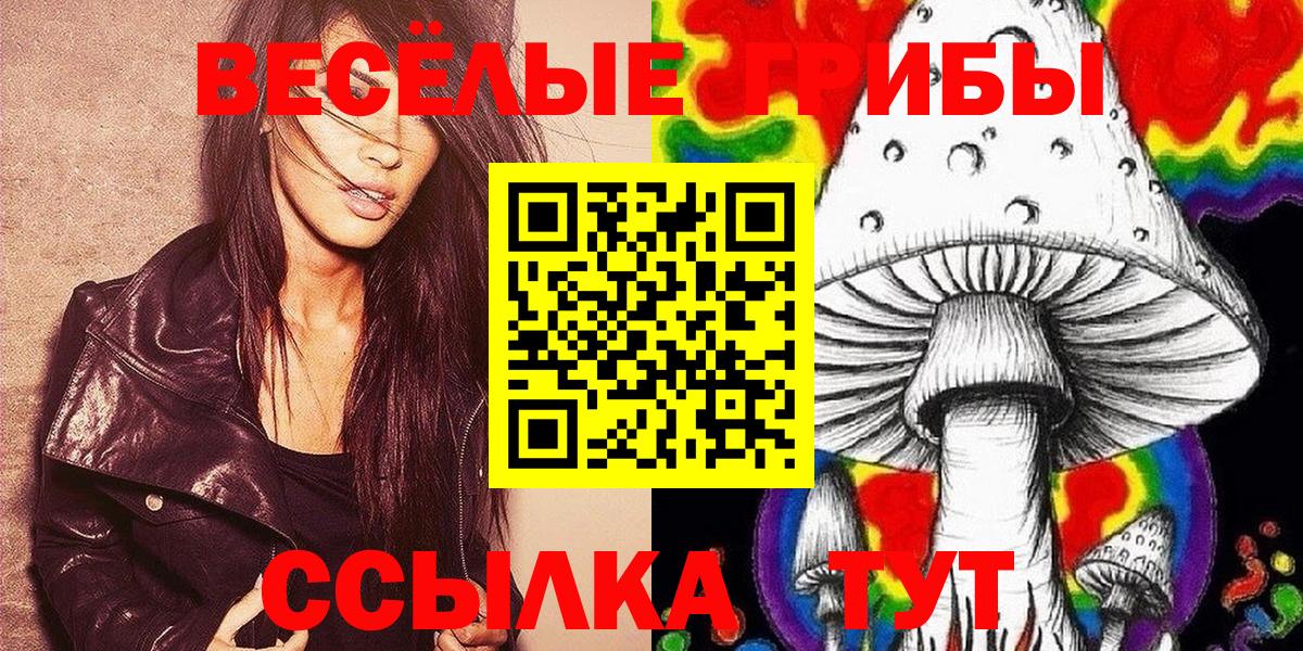 Галлюциногенные грибы Cubensis  Псилоцибиновые грибы ЛСД  купить   Вход с VPN  Долгопрудный 